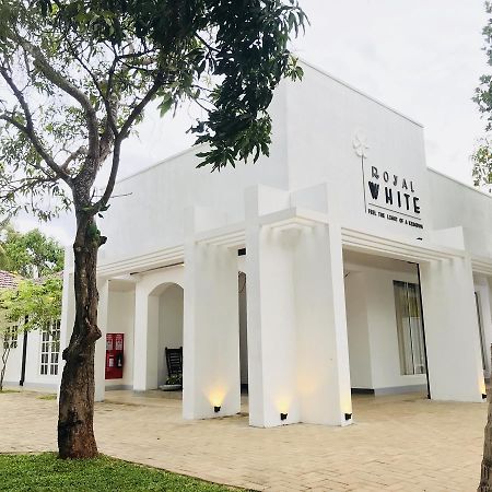 Hotel Royal White Tourist Rest Anuradhapura Exterior foto