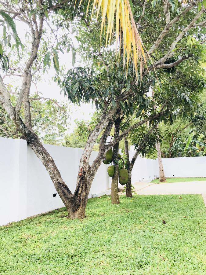 Hotel Royal White Tourist Rest Anuradhapura Exterior foto